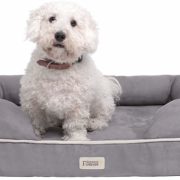 Friends Forever Orthopedic Dog Bed Lounge Sofa Removable Cover 100% Suede 2" Mattress Memory-Foam Premium Prestige Edition 20" x 25" x 5" Pewter Grey Small