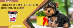 Yorkie News Header - Review I and Love